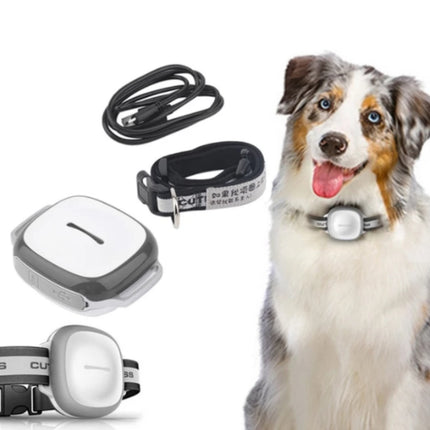 GPS Pet Tracker Collar for Dogs & Cats | USB Rechargeable Anti-Lost Locator with LED Light & IP67 Waterproof
