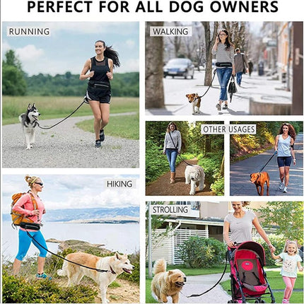 Hands-Free Dog Leash Walking & Training Belt with Shock-Absorbing Bungee Leash, Phone Pocket & Bottle Holder
