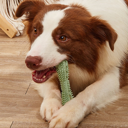 Chew Toy for Dogs – Teeth Cleaning, Anxiety Relief & Training Ball