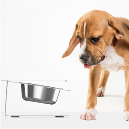 Anti-Spill Elevated Cat & Dog Feeding Bowl | Stainless Steel Tilted Food & Water Bowl