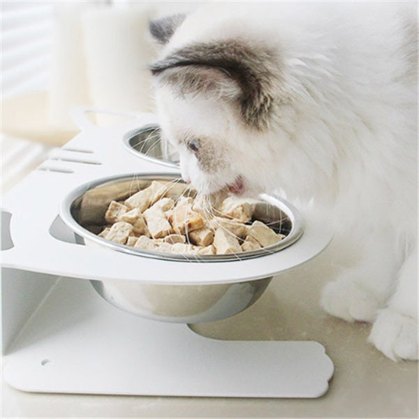 Anti-Spill Elevated Cat & Dog Feeding Bowl | Stainless Steel Tilted Food & Water Bowl