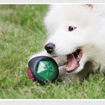 Glow in the Dark Sounding Dog Toy Ball – Bouncy, Bite-Resistant Rubber Toy for Puppies & Large Dogs