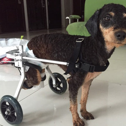 Fully Adjustable Dog Wheelchair – Lightweight Support for Disabled or Injured Dogs