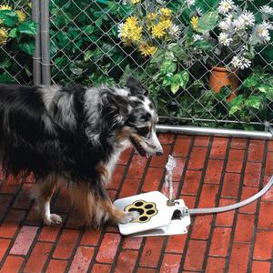Outdoor Dog Water Fountain Paw-Activated Drinking Dispenser with 41-Inch Hose