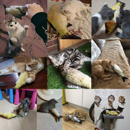 Electric Flopping Fish Cat Toy (Without Catnip) | Interactive Jumping Fish Simulation for Cats