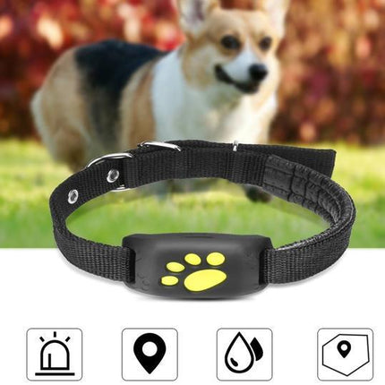 GPS Pet Tracker – Real-Time Tracking with Fence Alarm & Waterproof Design