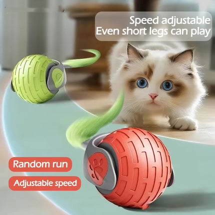 Smart Interactive Cat Toy Ball – USB Rechargeable Automatic Rolling Teaser with Adjustable Speed