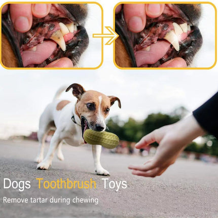 Funny Peanut-Shaped Squeaky Dog Toy – Bite-Resistant Rubber Chew Toy for Small & Medium Dogs