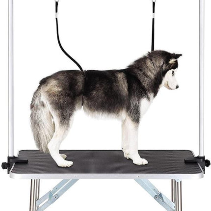 Heavy Duty Dog Grooming Table with Adjustable Arm, Non-Slip Surface & Storage Tray