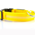 yellow / L / chargable