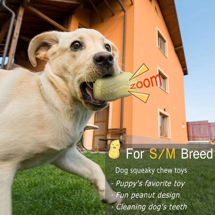 Funny Peanut-Shaped Squeaky Dog Toy – Bite-Resistant Rubber Chew Toy for Small & Medium Dogs