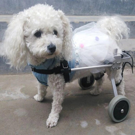 Fully Adjustable Dog Wheelchair – Lightweight Support for Disabled or Injured Dogs