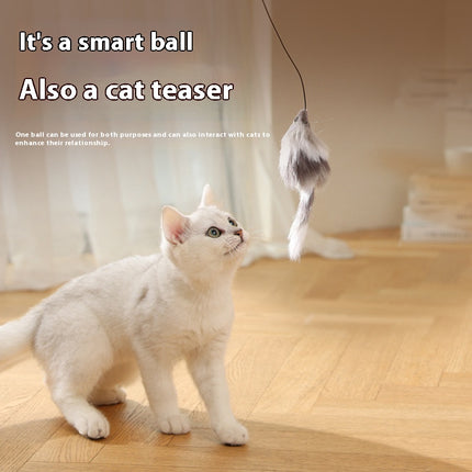 Automatic Intelligent Rolling Cat Mouse Teaser Ball | Electric Moving Pet Toy for Cats & Dogs