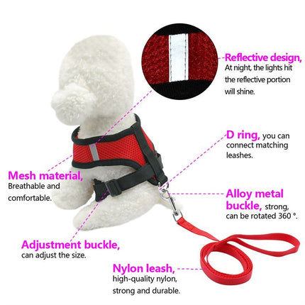 Breathable Mesh Pet Harness with Leash for Dogs & Cats | Adjustable Walking & Car Safety Vest