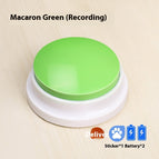 Recording Macaron Green / 1PC