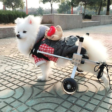Fully Adjustable Dog Wheelchair – Lightweight Support for Disabled or Injured Dogs
