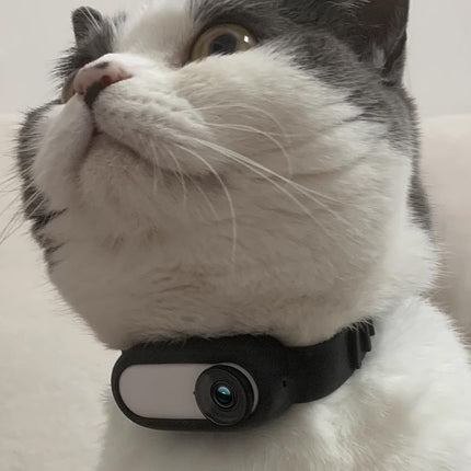 Wireless Cat & Dog Collar Camera with USB Charging for Indoor & Outdoor Recording
