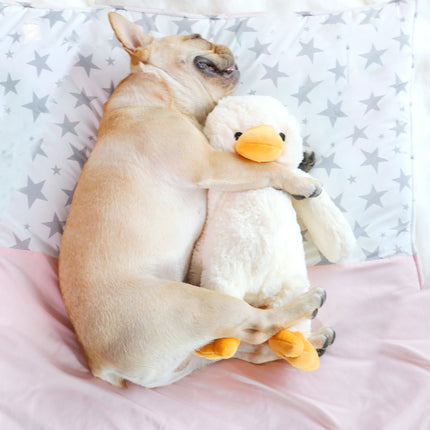 Plush Duckling Dog Toy with Squeaker – Soft Bite & Vocal Plush Toy for Dogs