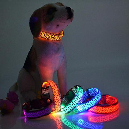 LED Safety Dog Collar – Adjustable Nylon Leopard Print Pet Collar