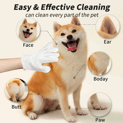 Pet Grooming Glove Wipes for Dogs & Cats – Disposable Dry Cleaning Gloves for Easy Pet Hygiene