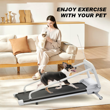 2026 Smart Pet Treadmill for Dogs – Quiet Motor, Adjustable Speed, Foldable Design for Small & Medium Dogs