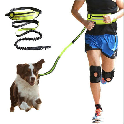 Hands-Free Dog Leash Walking & Training Belt with Shock-Absorbing Bungee Leash, Phone Pocket & Bottle Holder