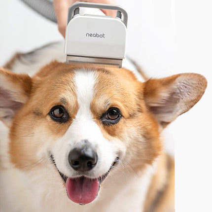 Neabot Pet Grooming Vacuum Kit for Dogs – Hair Trimming, Deshedding & Cleaning Tool with 9000Pa Suction