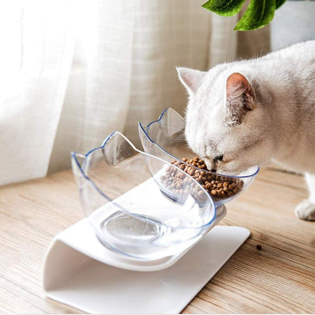 Non-Slip Double Cat Bowl with Raised Stand, 15° Tilted Transparent Cat Head Feeder for Cats & Small Dogs