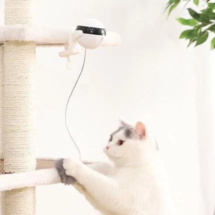 Electronic Motion Interactive Cat Toy with Rope & Fur Ball – Automatic Play Toy for Cats
