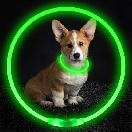 Pet Flashing LED Collar USB Rechargeable Glowing Safety Necklace for Night Walking Dogs