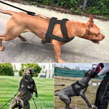 Soft Padded Dog Weight Pulling Harness – Durable Adjustable Chest Strap for Pitbull and Large Dogs