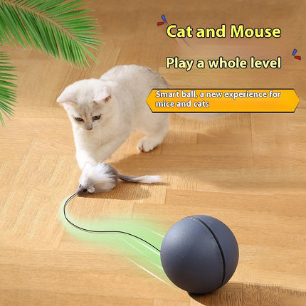 Automatic Intelligent Rolling Cat Mouse Teaser Ball | Electric Moving Pet Toy for Cats & Dogs