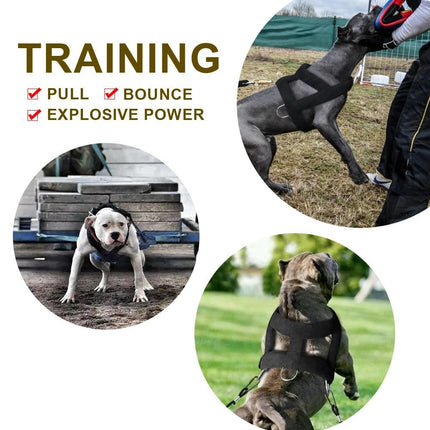 Soft Padded Dog Weight Pulling Harness – Durable Adjustable Chest Strap for Pitbull and Large Dogs