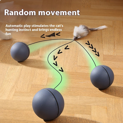 Automatic Intelligent Rolling Cat Mouse Teaser Ball | Electric Moving Pet Toy for Cats & Dogs