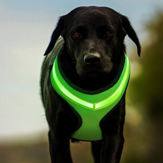 LED Luminous Dog Harness USB Charging Chest Strap Vest Pet Safety Reflective Harness for Puppy and Large Dogs