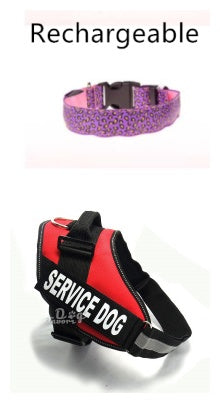 LED Safety Dog Collar – Adjustable Nylon Leopard Print Pet Collar