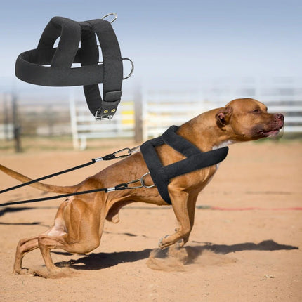 Soft Padded Dog Weight Pulling Harness – Durable Adjustable Chest Strap for Pitbull and Large Dogs