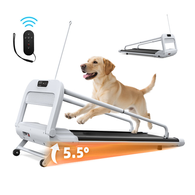 2026 Smart Pet Treadmill for Dogs – Quiet Motor, Adjustable Speed, Foldable Design for Small & Medium Dogs