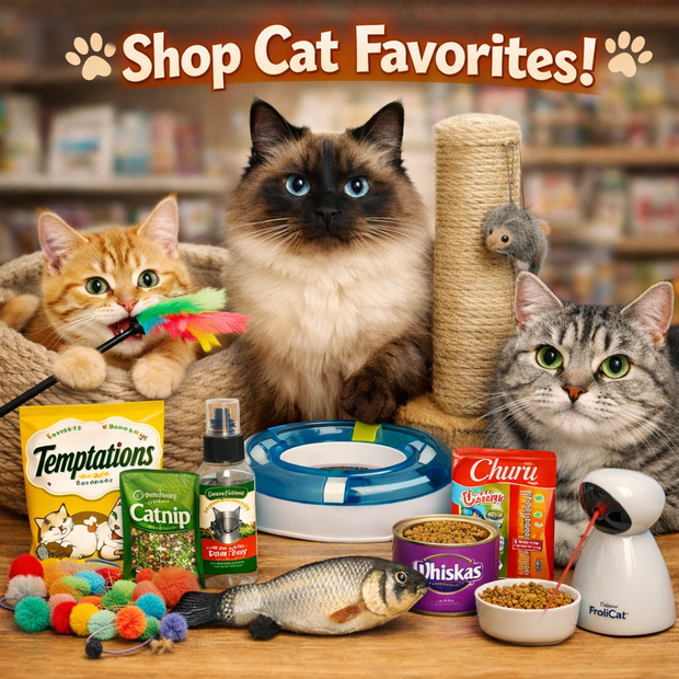 Banner image for: <h3>Popular for Cats</h3>
