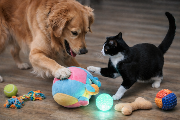 <strong>Toys & Play</strong>