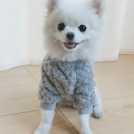 Cute winter Dog Clothes