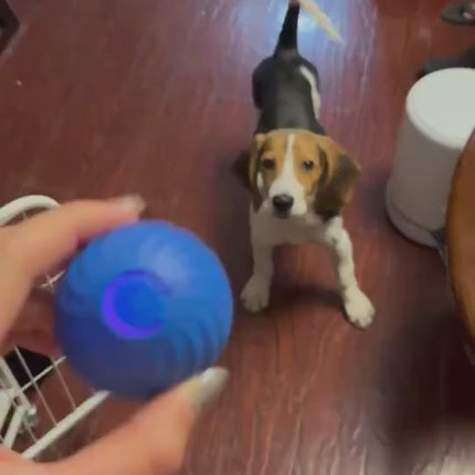 22466e11-2488-43d2-a8d2-e15c084db848-0514.mp4