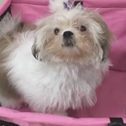 Waterproof Dog Carrier Seat, great for long journe